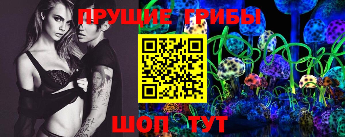 Псилоцибиновые грибы GOLDEN TEACHER Елизово